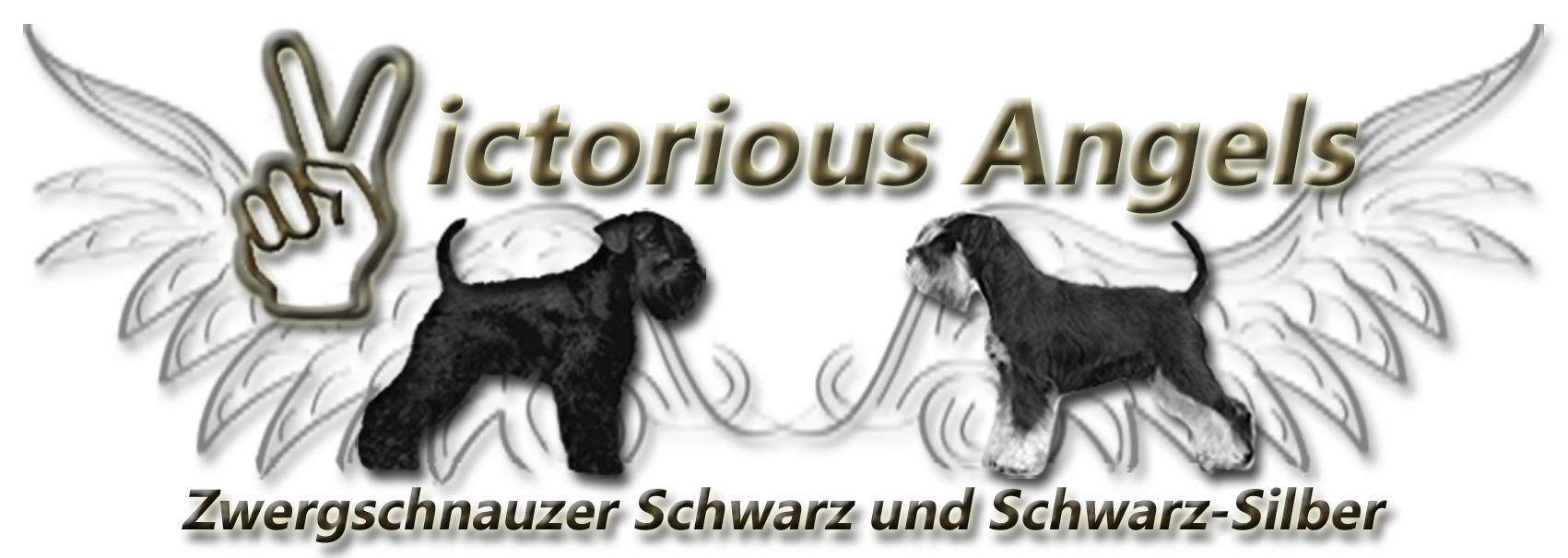 Victorious Angels Zwergschnauzer